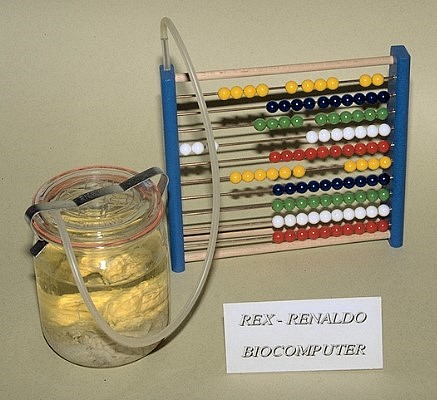 Rex-Renaldo-Biocomputer.JPG